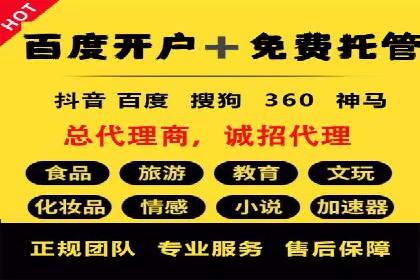 百度推广的投放策略与效果分析